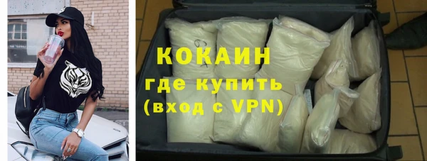 твердый Арсеньев