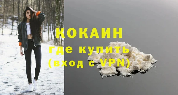 твердый Арсеньев