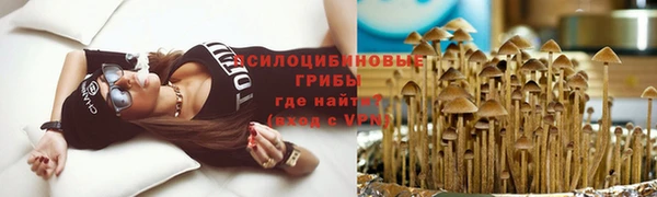 мескалин Армянск