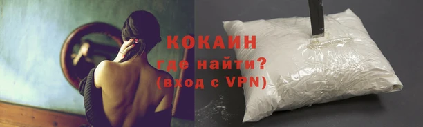 твердый Арсеньев