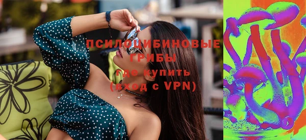 твердый Арсеньев