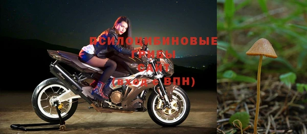 твердый Арсеньев